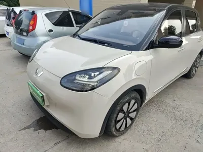 Wuling Bingo