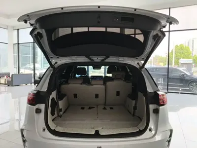 BYD Tang New Energy
