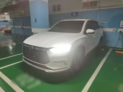 BYD Pro New Energy