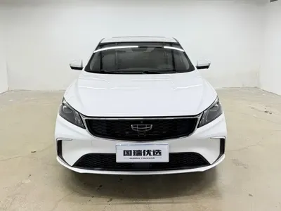 Geely Binrui