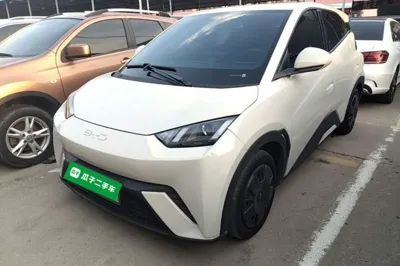 BYD Seagull