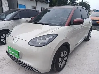 Wuling Bingo