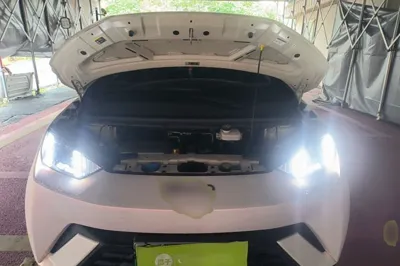 BYD Seagull