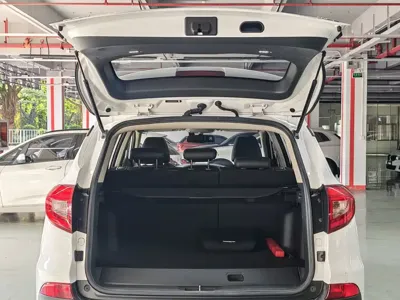 BYD New Energy