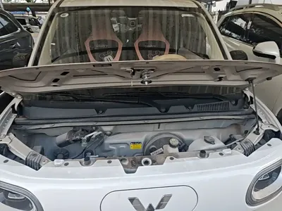 Wuling MINIEV