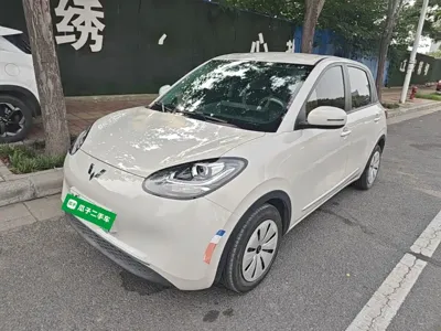 Wuling Bingo
