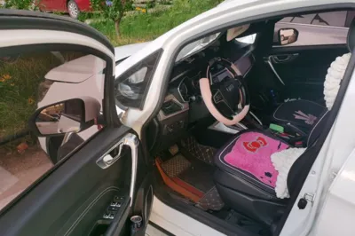 Geely Auto Vision X3