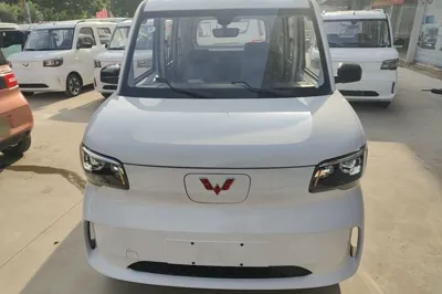 Wuling Zhiguang New Energy