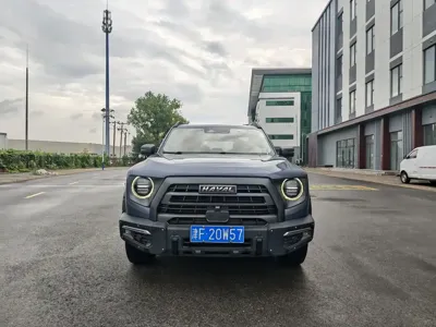 Haval Big Dog