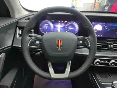 Hongqi Hongqi HS5
