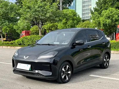 Wuling Bingo PLUS