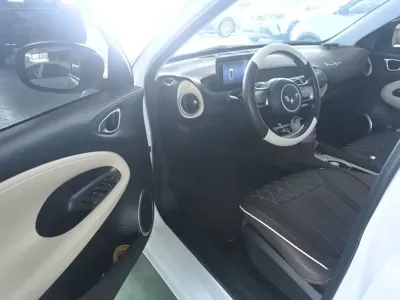 Wuling Bingo