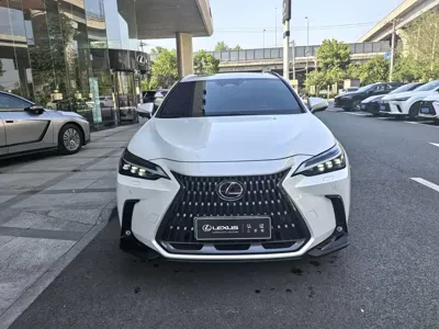 Lexus NX New Energy