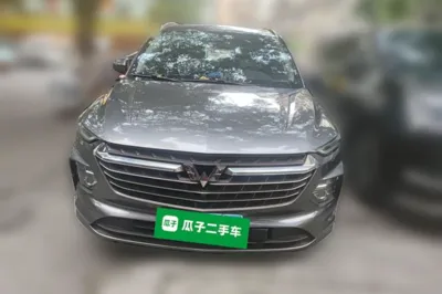 Wuling Victory