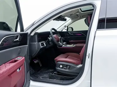 Hongqi Hongqi E-HS9