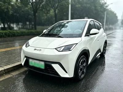 BYD Seagull