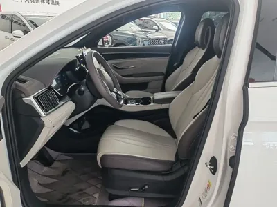 BYD PLUS New Energy
