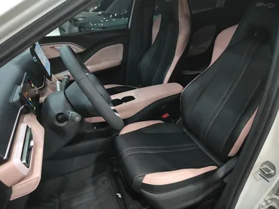 BYD Seagull