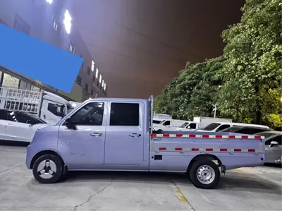 Foton 祥菱Q EV