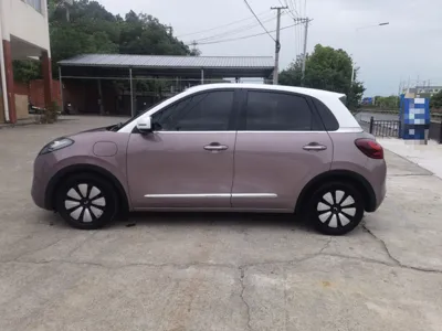 Wuling Bingo