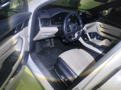 BYD PLUS New Energy