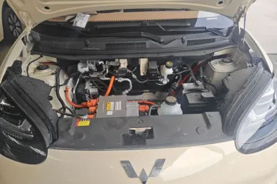 Wuling Bingo
