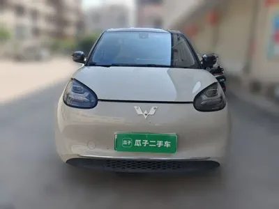 Wuling Bingo