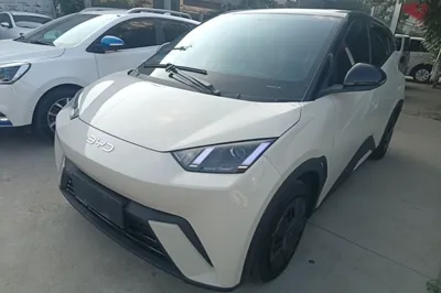 BYD Seagull