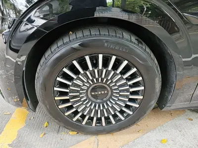 Zeekr 009