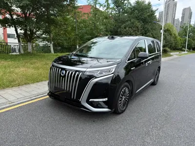 Denza Denza D9