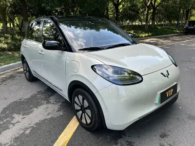 Wuling Bingo