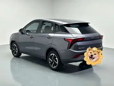 NETA Neta V