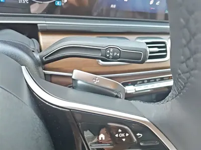 Mercedes-Benz 奔驰GLE(进口)