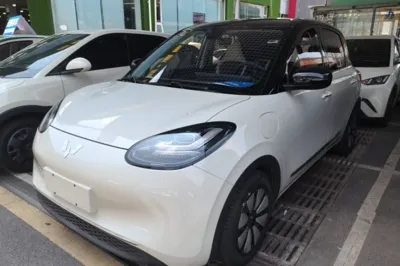 Wuling Bingo