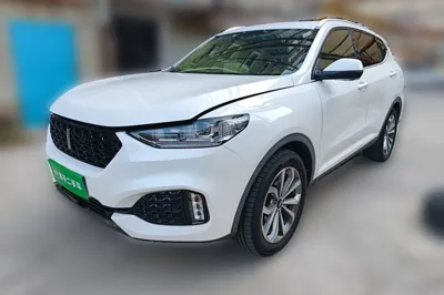 WEY VV6
