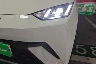 BYD Seagull