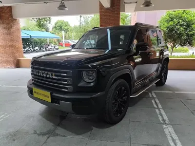 Haval Menglong New Energy