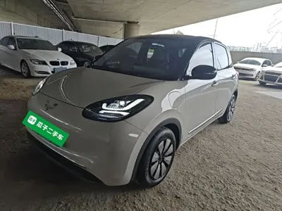 Wuling Bingo