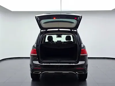 Mercedes-Benz 奔驰GLE(进口)