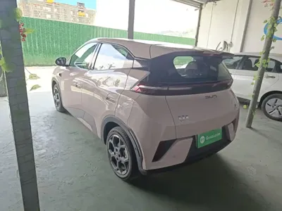 BYD Seagull