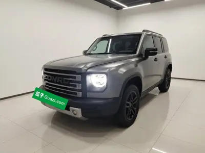 Haval Menglong New Energy