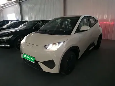 BYD Seagull