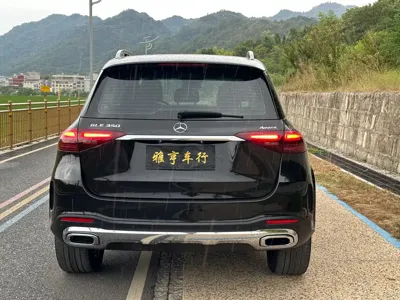 Mercedes-Benz 奔驰GLE(进口)