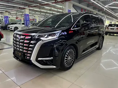 Denza Denza D9