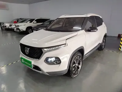 Baojun 510