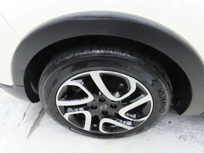 Renault-KoreaSamsung QM3