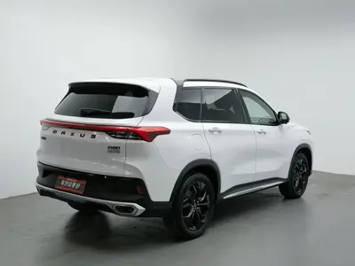Maxus D60