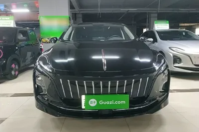 Hongqi E-QM5
