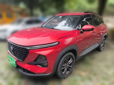 Baojun RS-3
