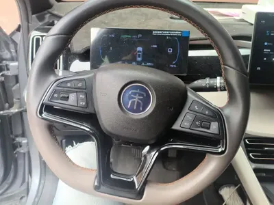 BYD Pro New Energy